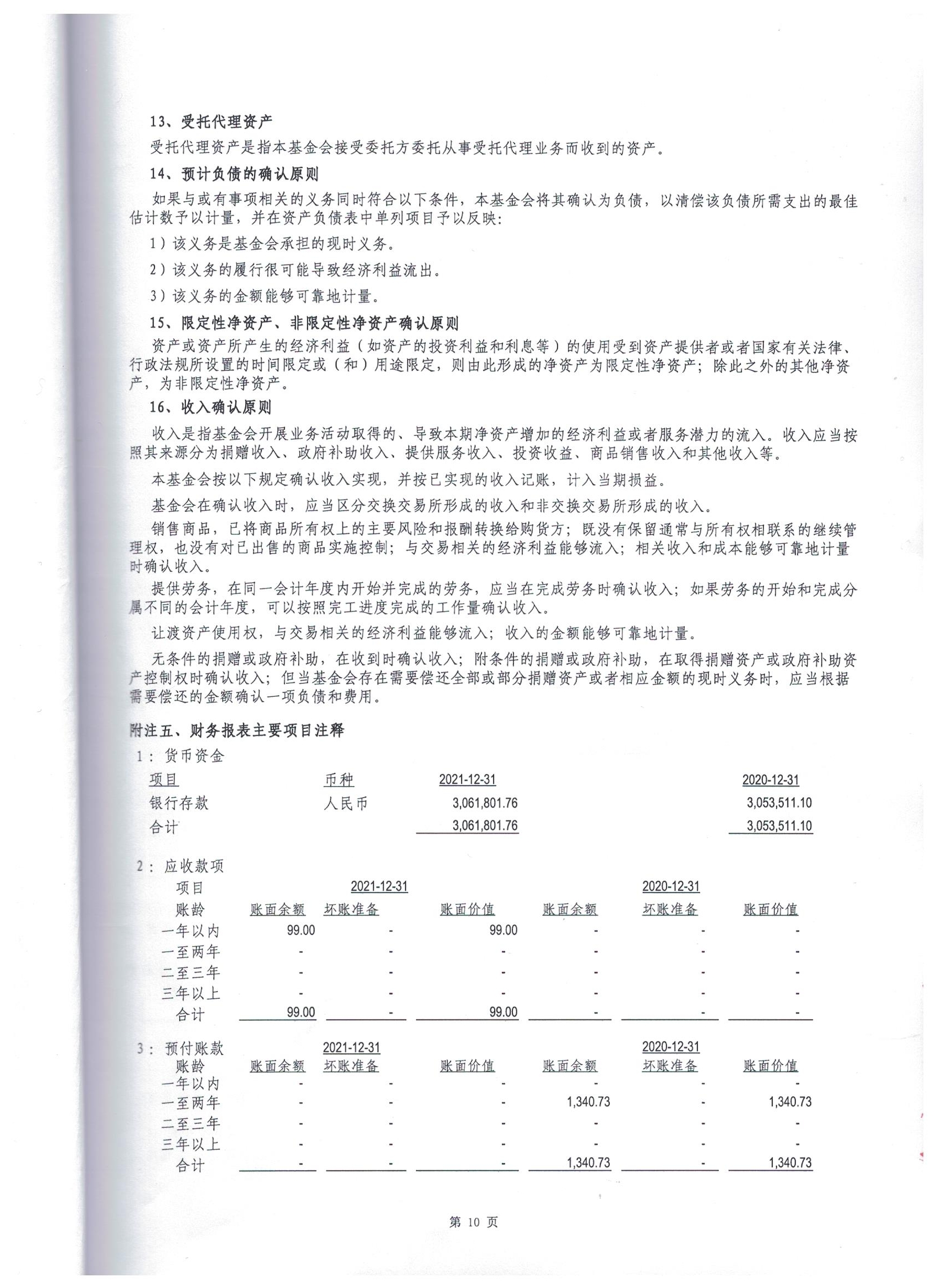 深圳市万仁公益基金会2021年度审计报告(图13)