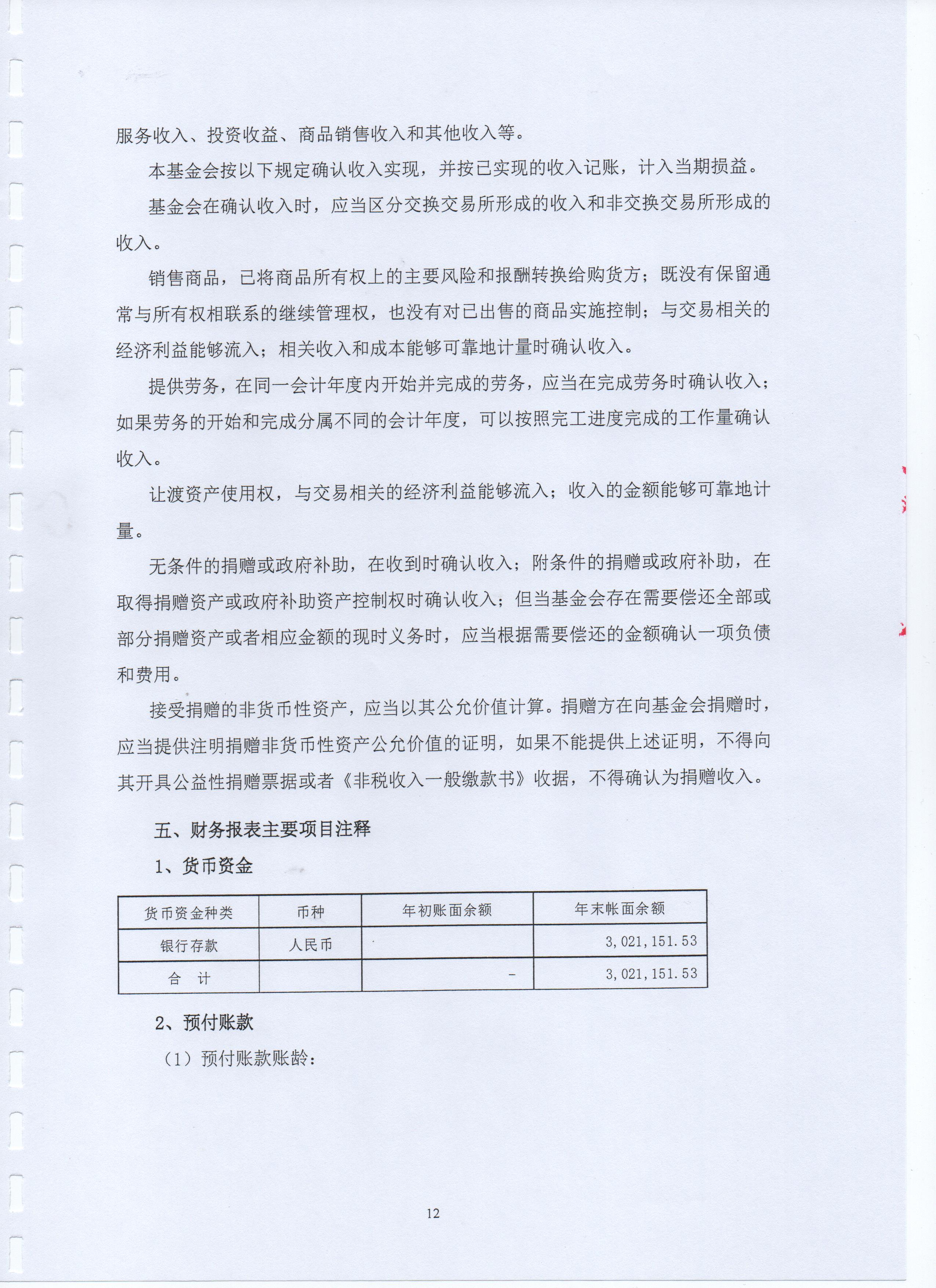 深圳市万仁公益基金会2019年度审计报告(图14)