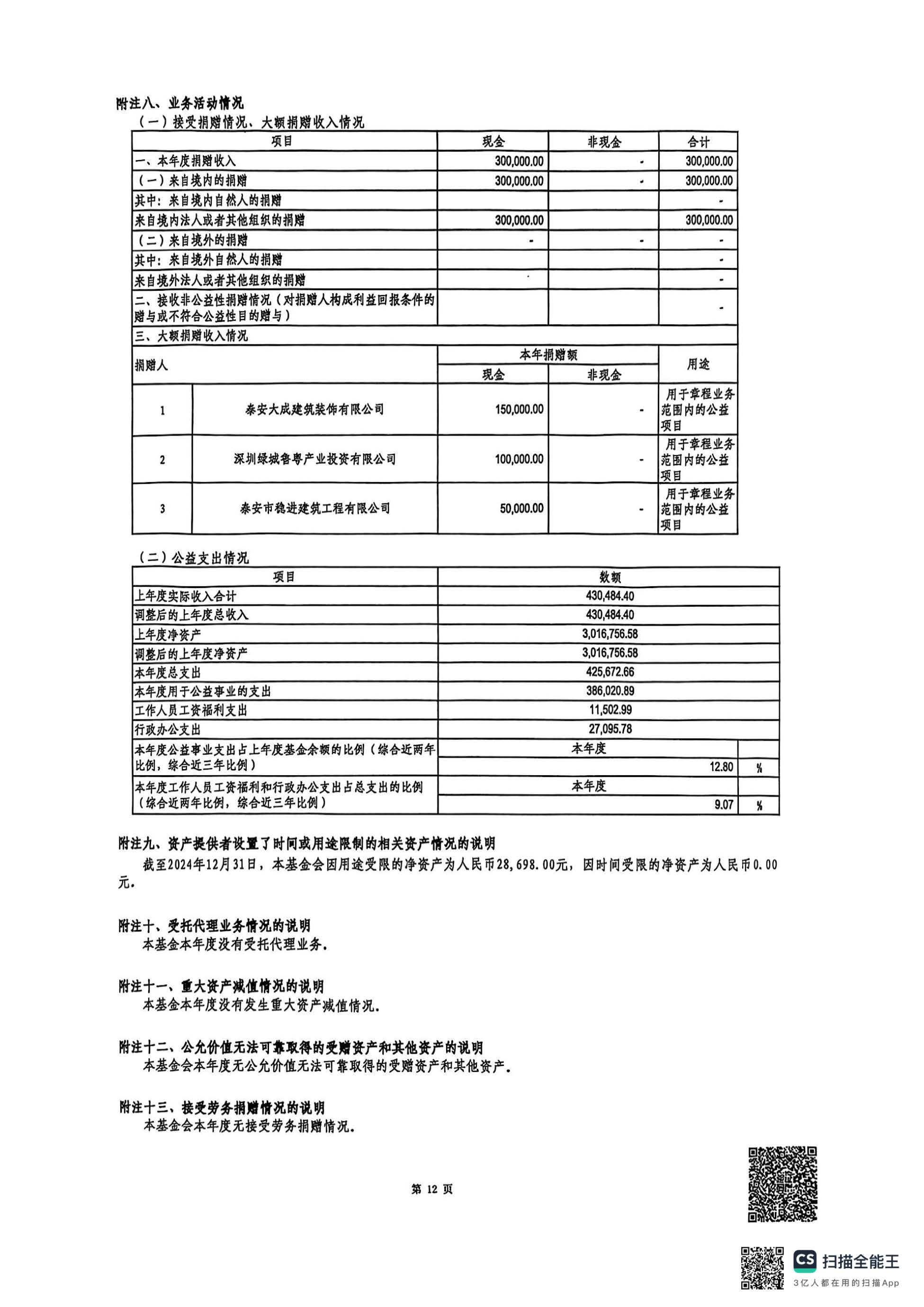 2024年度审计报告(图14)