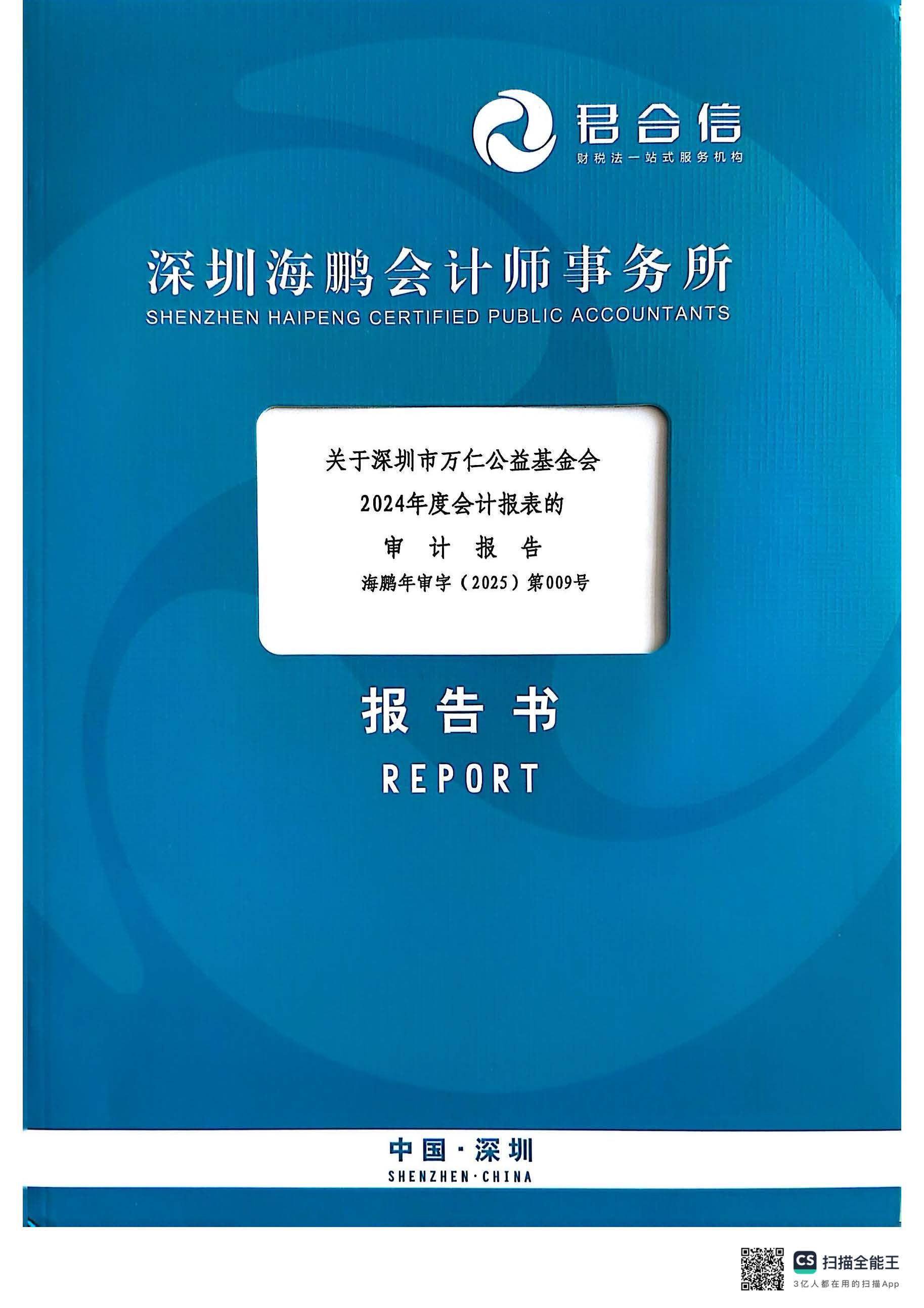 2024年度审计报告(图1)