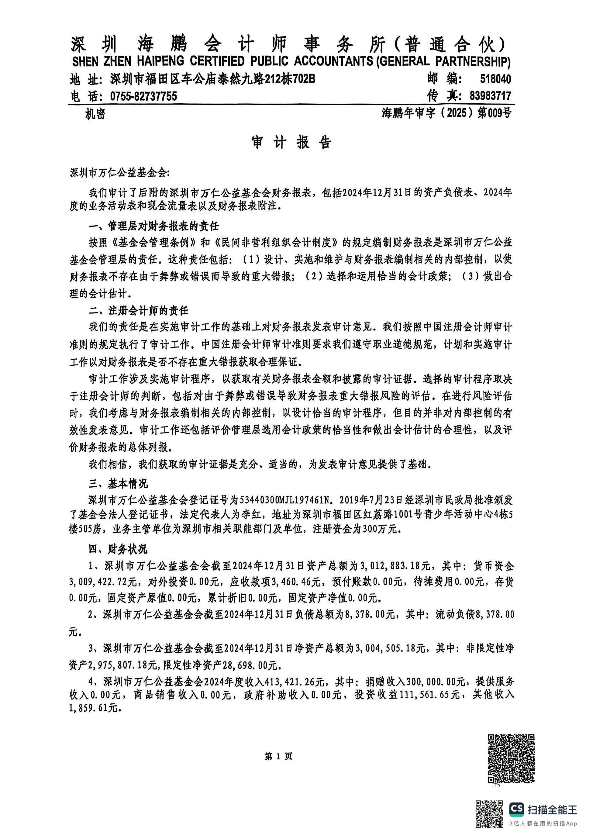 2024年度审计报告(图3)